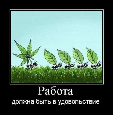 Прикрепленное изображение: жение_viber_2022-05-05_09-23-11.jpg